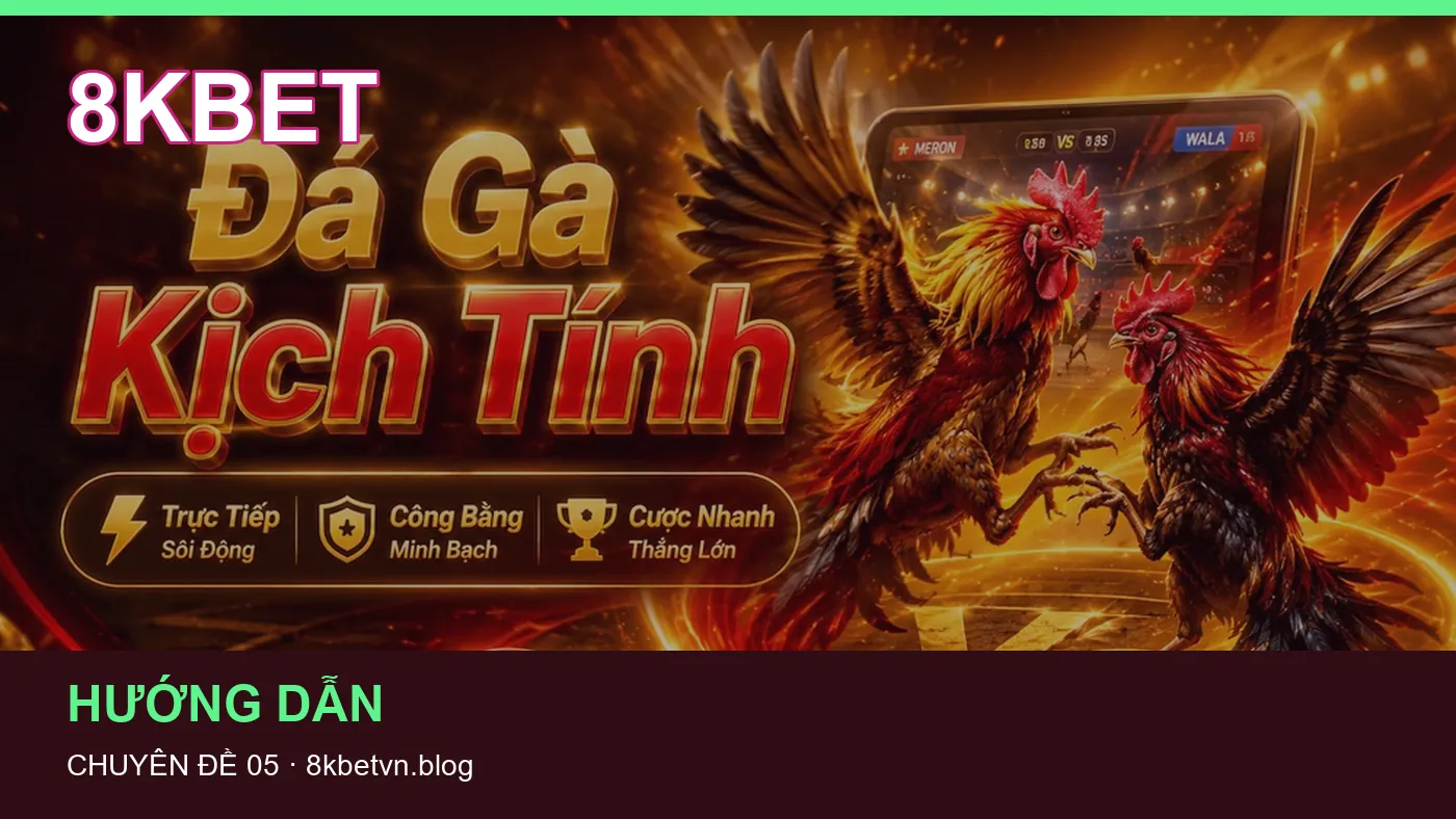Danh sách kiểm tra thông tin Hướng dẫn dành cho người đọc 8KBET